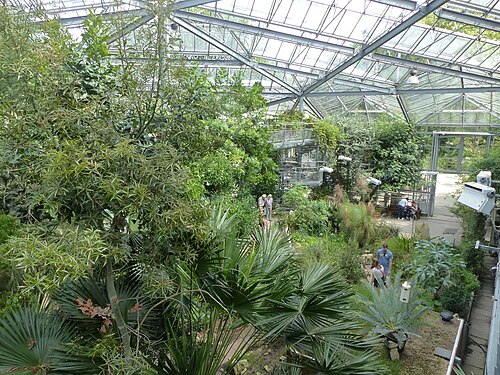 Hortus Botanicus Amsterdam